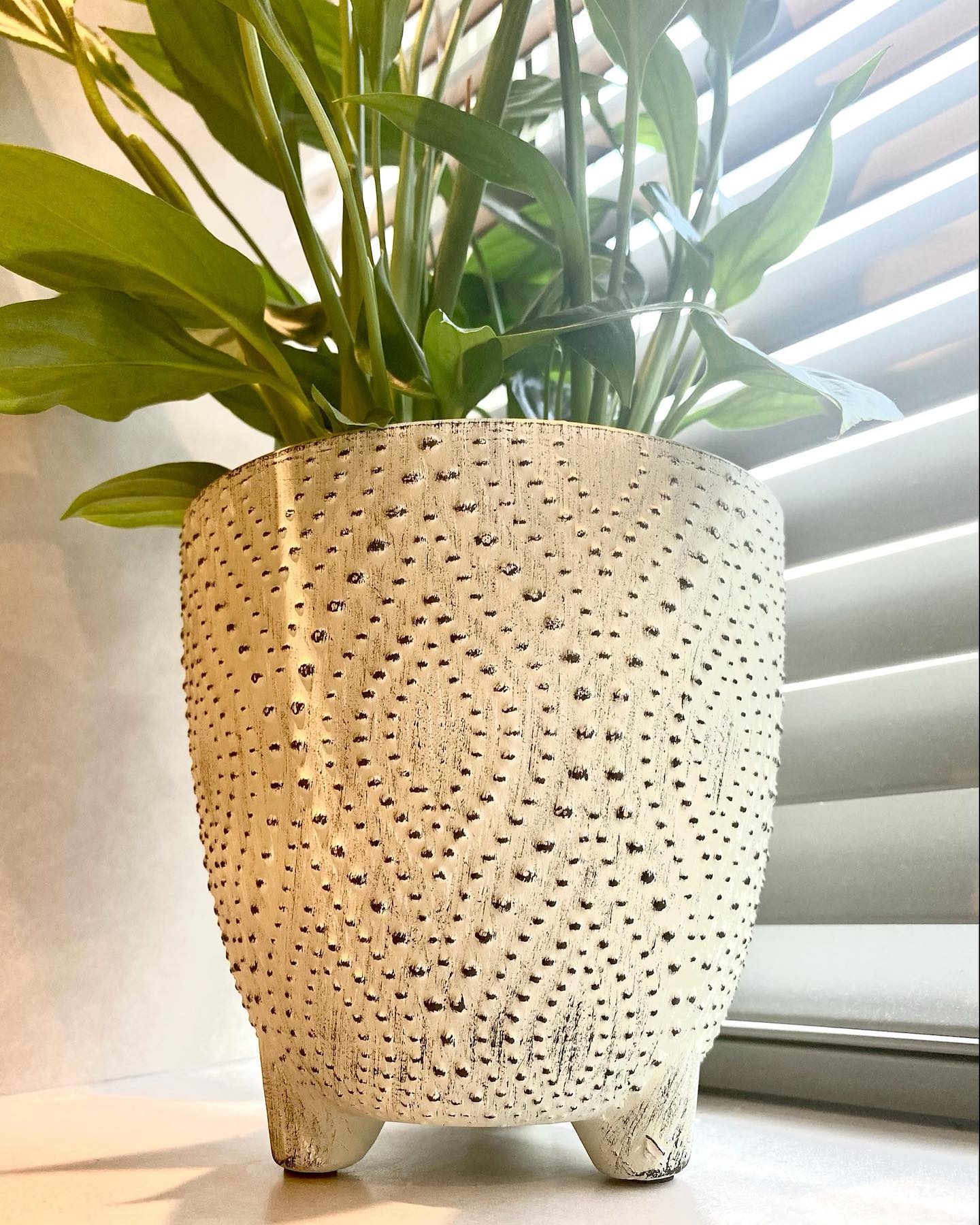 Textured Plant Pot